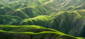 Green hillside