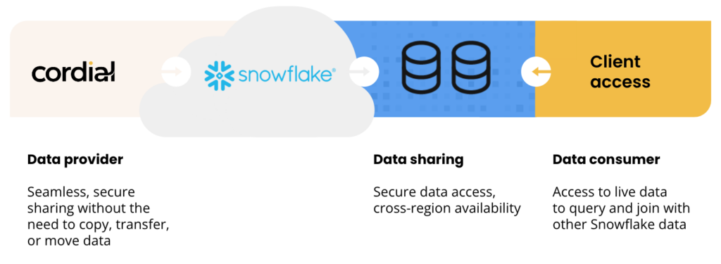 Snowflake visual